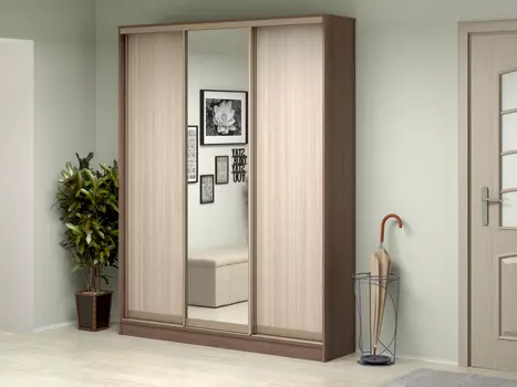 Шкаф-купе Антонио 3 (Баронс)