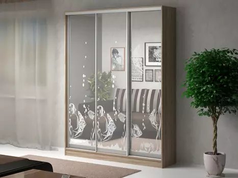 Шкаф-купе Армандо 3 (Баронс)