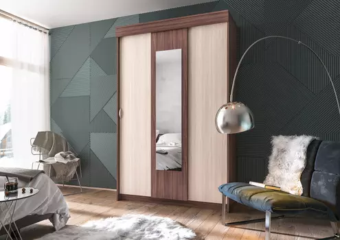 Шкаф-купе Бася 2,0 (Интерьер Центр)