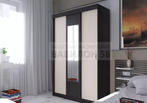 Шкаф-купе Бася 2,3 (ВВ)