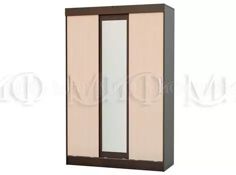 Шкаф-купе Бася (дуб беленый/венге) (Миф)