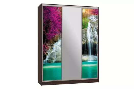 Шкаф-купе Бассо 10-600 49 (Мебельсон)