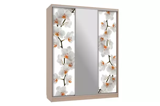 Шкаф-купе Бассо 10-600 83 (Мебельсон)