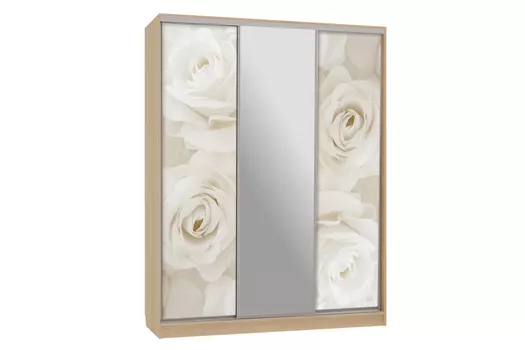 Шкаф-купе Бассо 10-600 Розы (Мебельсон)