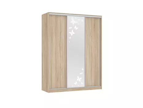 Шкаф-купе Бассо 1-600 Бабочки (Мебельсон)