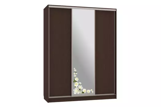 Шкаф-купе Бассо 1-600 Розы (Мебельсон)