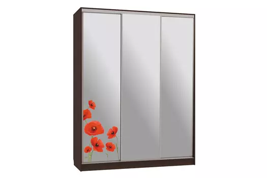 Шкаф-купе Бассо 4-600 Маки (Мебельсон)