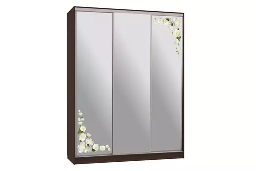 Шкаф-купе Бассо 4-600 Розы (Мебельсон)