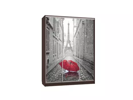 Шкаф-купе Бассо 7-600 08 (Мебельсон)