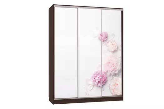 Шкаф-купе Бассо 7-600 17 (Мебельсон)