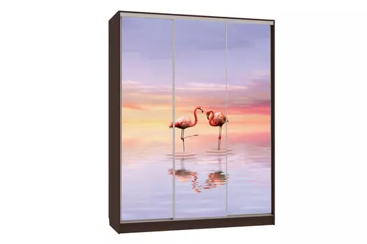 Шкаф-купе Бассо 7-600 19 (Мебельсон)