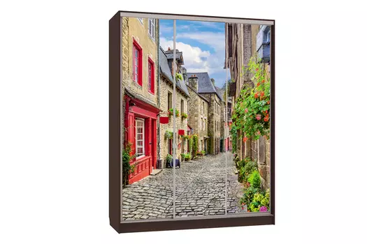 Шкаф-купе Бассо 7-600 Европа (Мебельсон)