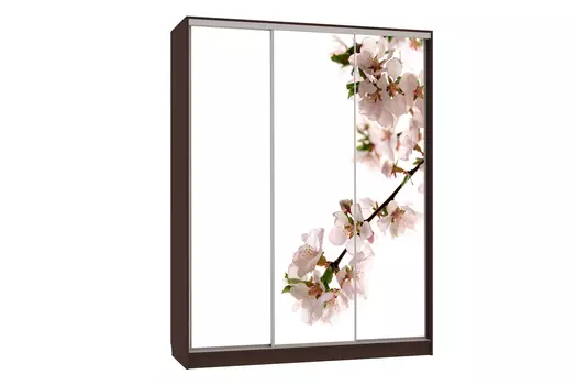 Шкаф-купе Бассо 7-600 Яблоня (Мебельсон)