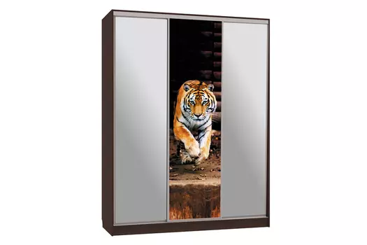 Шкаф-купе Бассо 9-600 87 (Мебельсон)