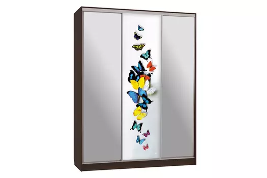 Шкаф-купе Бассо 9-600 88 (Мебельсон)