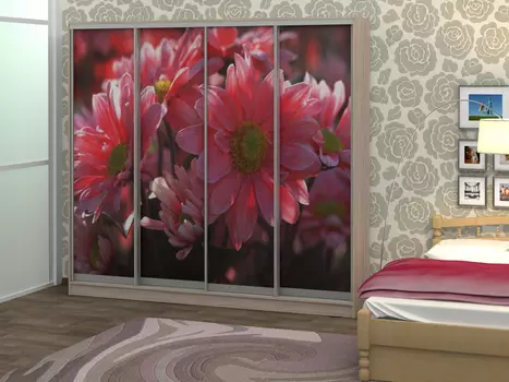 Шкаф-купе Джордано 4 (Баронс)