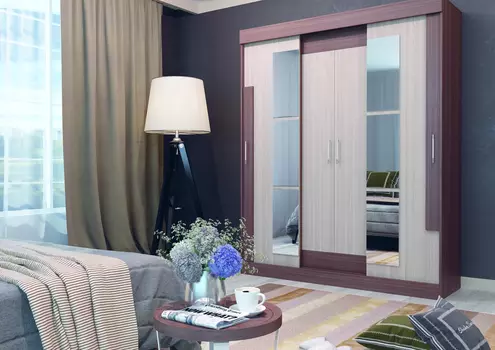 Шкаф-купе Феникс (ИЦ)