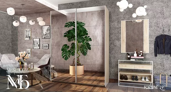 Шкаф-купе Fortune-19 (Мебелони)