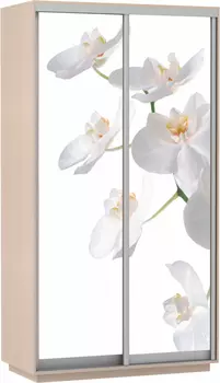 Шкаф-купе Фото ДУО-двухдверный Е1