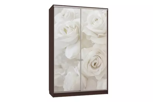 Шкаф-купе Гранд 7-600 Розы (Мебельсон)