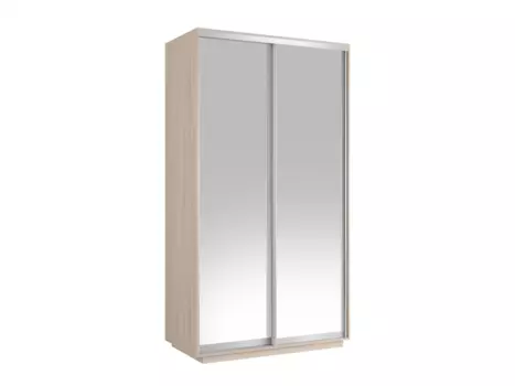 Шкаф-купе ХИТ Экспенс (1200*2200*600) Е1