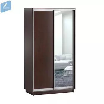 Шкаф-купе ЛЕО 2х створчатый ( разный размер) с одним зеркалом СТИЛЬ