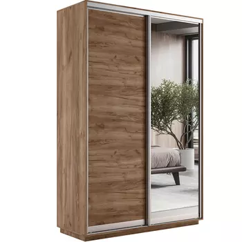 Шкаф-купе Медиум ДУО-двухдверный Е1