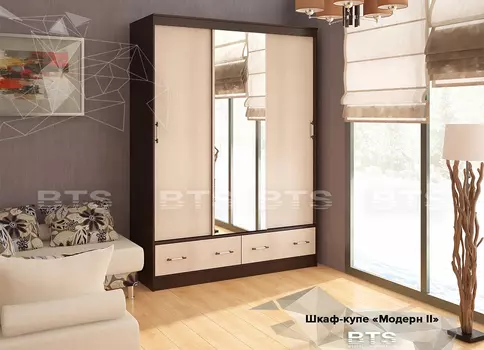 Шкаф-купе Модерн 2 (БТС)