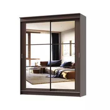 Шкаф-купе Орион Альянс (Памир)