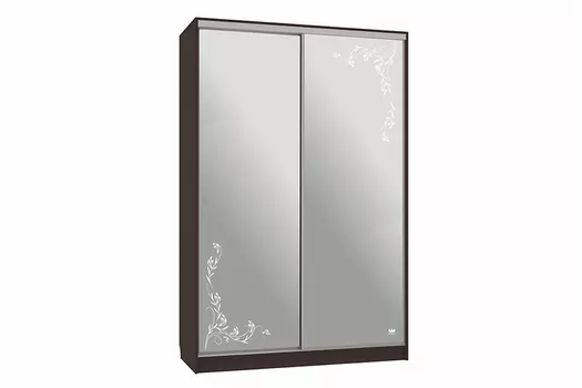 Шкаф-купе Рио 4-600 Цветы 2 (Мебельсон)