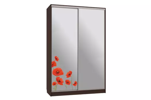 Шкаф-купе Рио 4-600 Маки (Мебельсон)