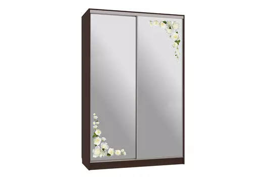 Шкаф-купе Рио 4-600 Розы (Мебельсон)