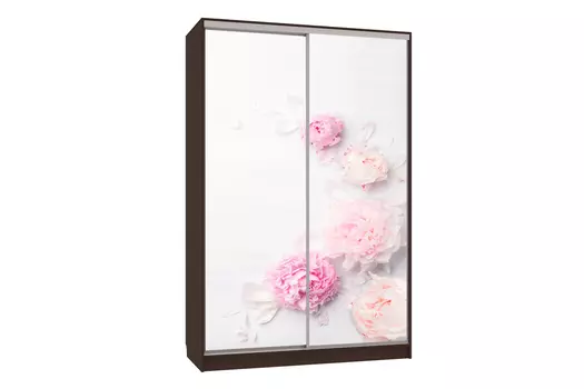 Шкаф-купе Рио 7-600 17 (Мебельсон)