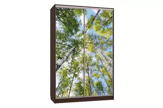 Шкаф-купе Рио 7-600 57 (Мебельсон)