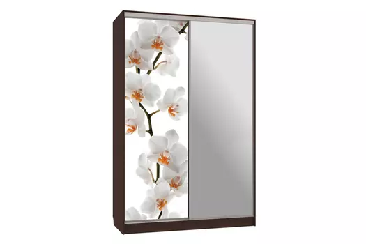 Шкаф-купе Рио 9-600 83 (Мебельсон)