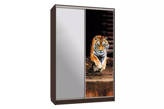 Шкаф-купе Рио 9-600 87 (Мебельсон)