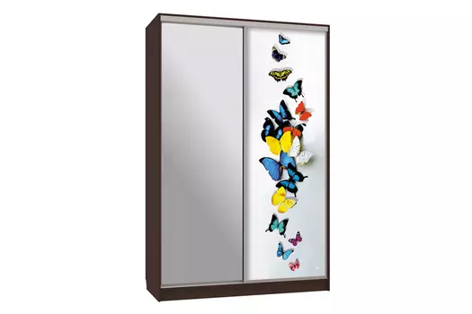 Шкаф-купе Рио 9-600 88 (Мебельсон)