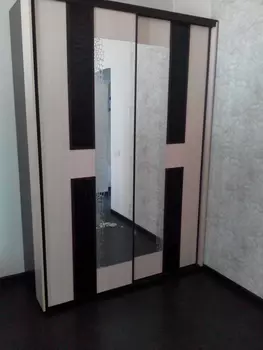 Шкаф-купе с ящиками Конго (Термит)