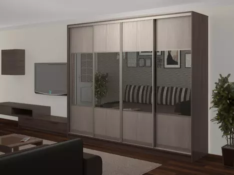 Шкаф купе Стандарт Комбо 4.1 (Баронс)
