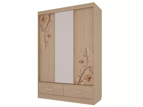 Шкаф-купе Виктория-1 МЕБЕЛЬСОН