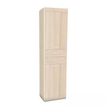 Шкаф многоцелевого назначения Ника Н21 (Заречье)