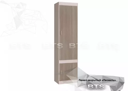 Шкаф закрытый Паскаль (БТС)