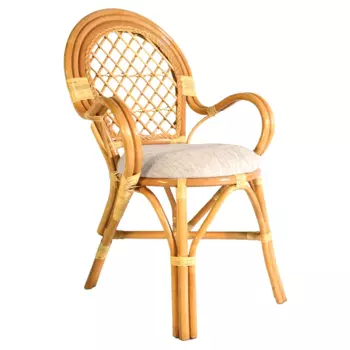 Стул Бали 04/11 из ротанга с фигурными подлокотниками (Радуга)