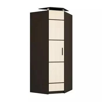 Угловой шкаф Фудзи (Термит)