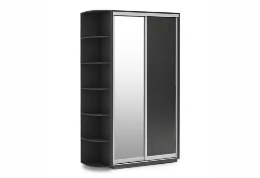 Шкаф-купе Тетрис 1200/2400