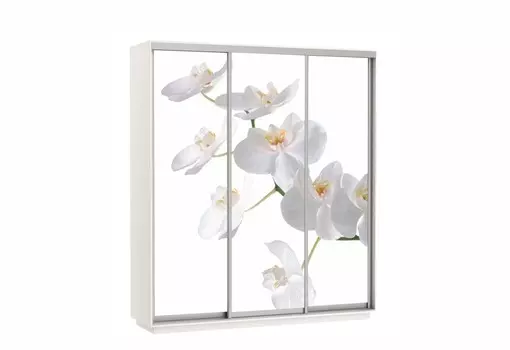 Шкаф-купе Трио 1800/2200/600