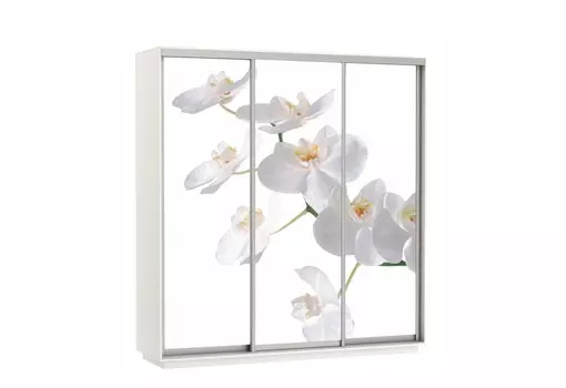 Шкаф-купе Трио 2100/2200/600