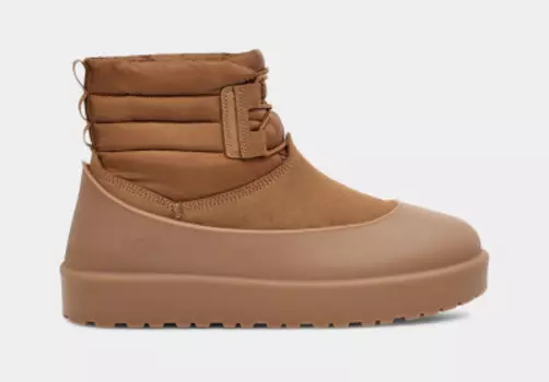 Classic Mini Lace-Up Brown
