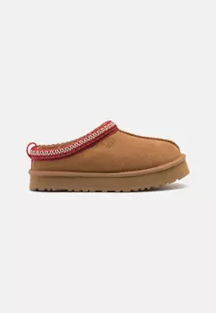 Tasman Tazz Chestnut