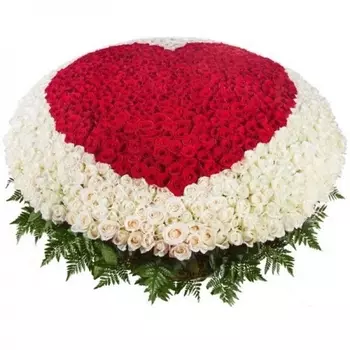 1001 Белая и Красная Роза (50 см.) сердце